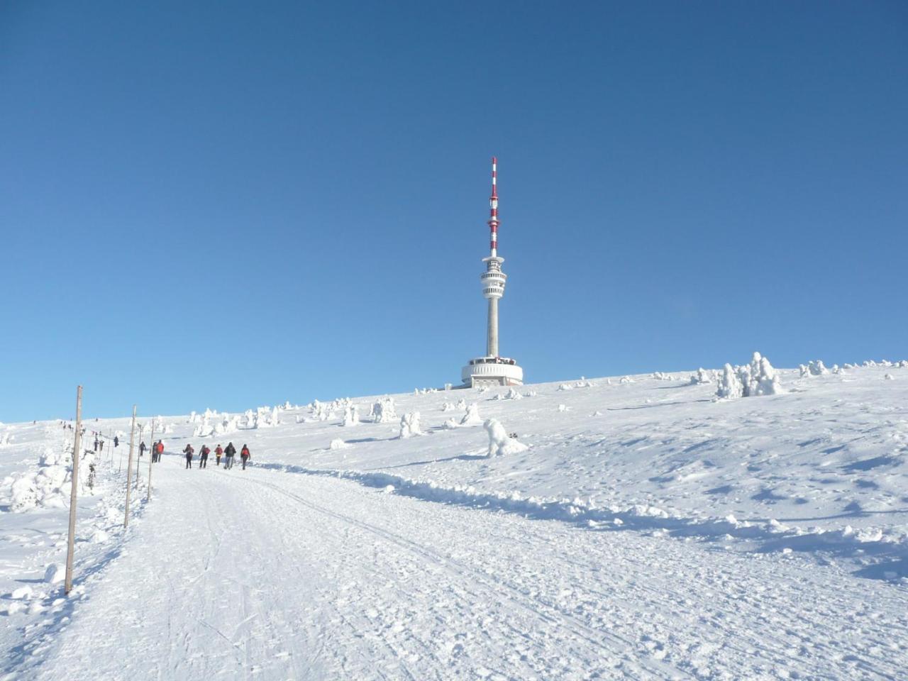 Horsky Domek Pod Uchacem Velké Losiny Buitenkant foto